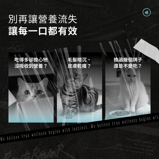 全齡貓 無穀亮毛美膚糧