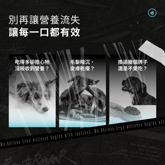 全齡犬 無穀亮毛美膚糧