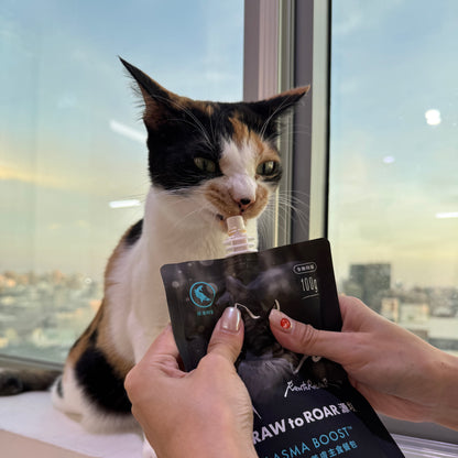 全齡貓 亮毛美膚主食餐包